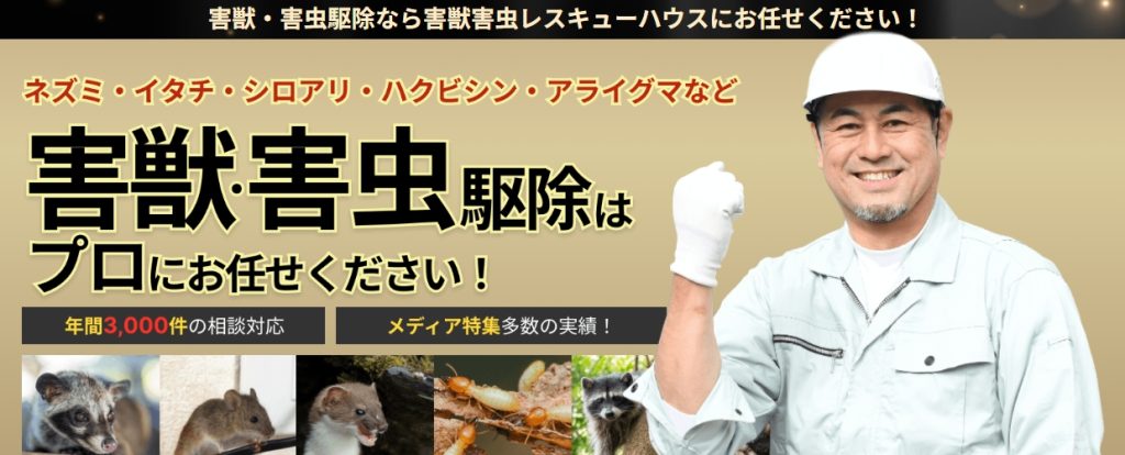 レスキューハウズ